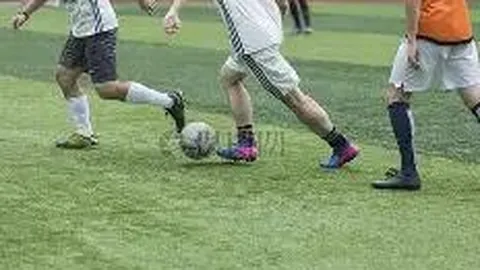 EVO真人官方平台 产品 131441 agv