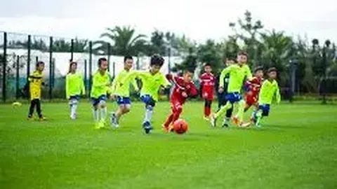 EVO真人官方平台 产品 095934 402